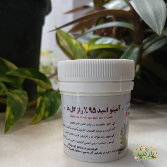 آمینو اسید