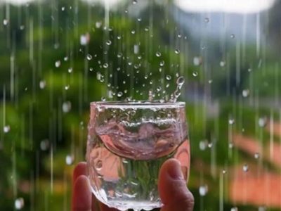 بهترین آب برای آبیاری گیاهان آپارتمانی